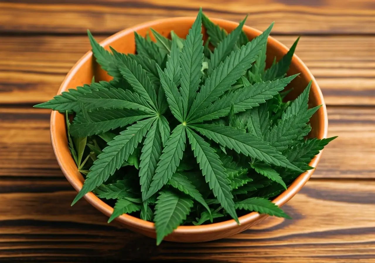 12 Myths and Facts About Weed Overdose - High Not